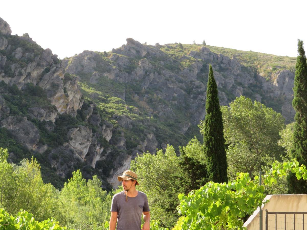 Villa Ripaud, Private River Swimming, Hot Tub Villeseque-des-Corbieres Extérieur photo